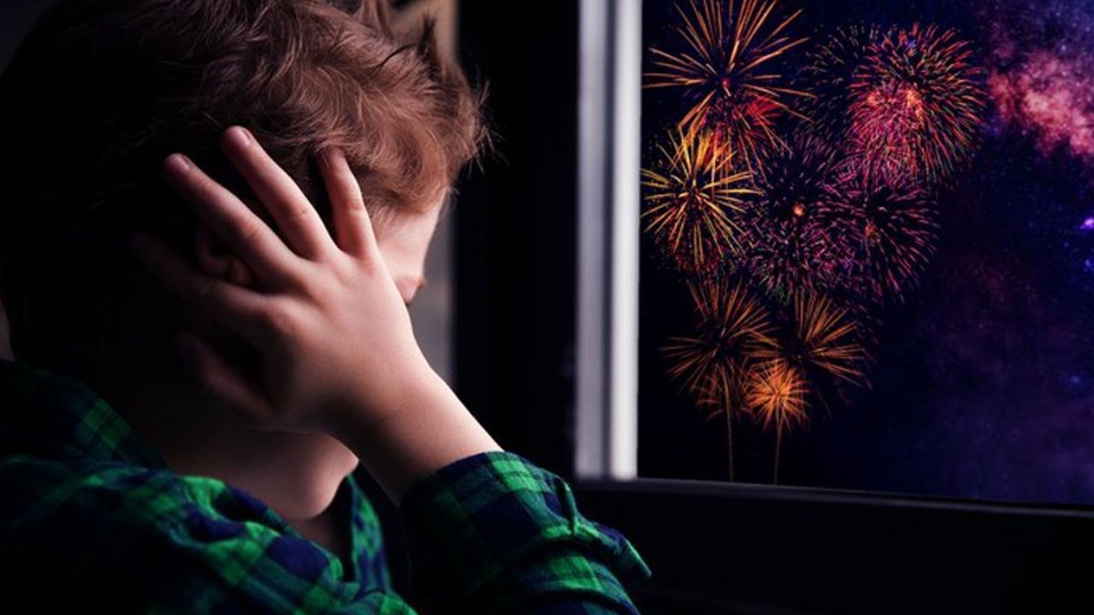 pirotecnia sonora cero: piden respeto por los que sufren