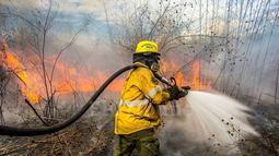 Alerta por riesgo alto de incendios en Jujuy.