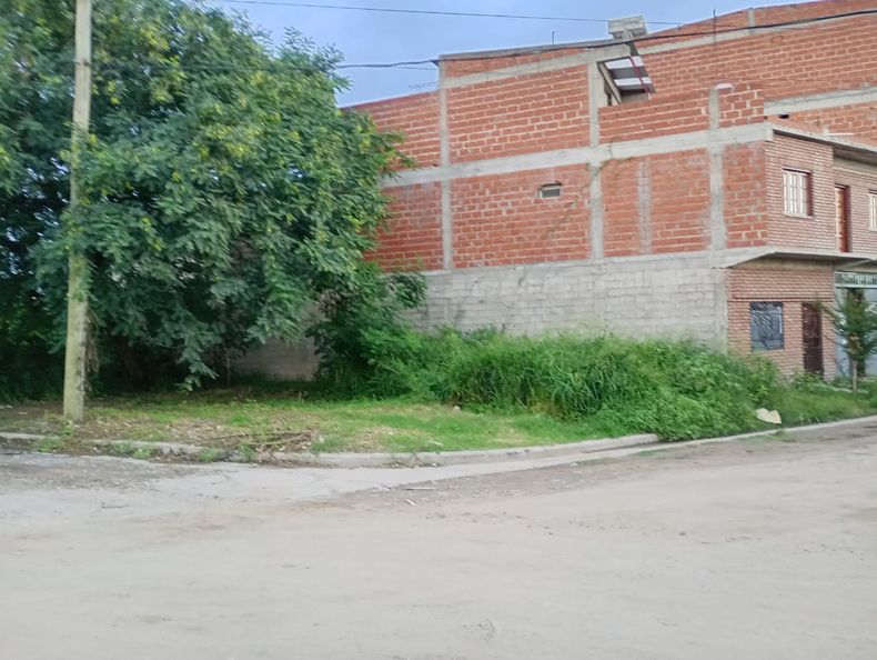 Barrio Arenal: sector por donde fue el caso de maltrato animal.