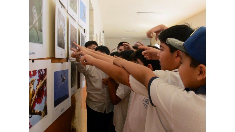 Muestra en las escuelas