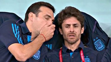 Mundial Qatar 2022: la emoción de Aimar