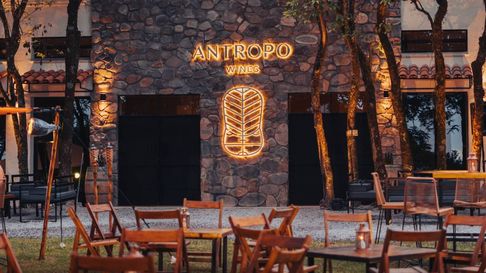 Todo Jujuy | Antropo Wines (2).jpg