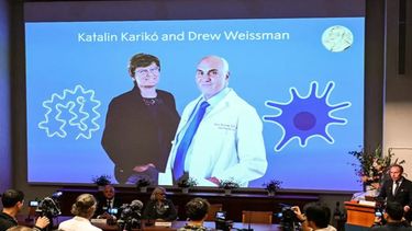 La bioquímica húngara Katalin Karikó y el investigador estadounidense Drew Weissman son premio Nobel de Medicina.