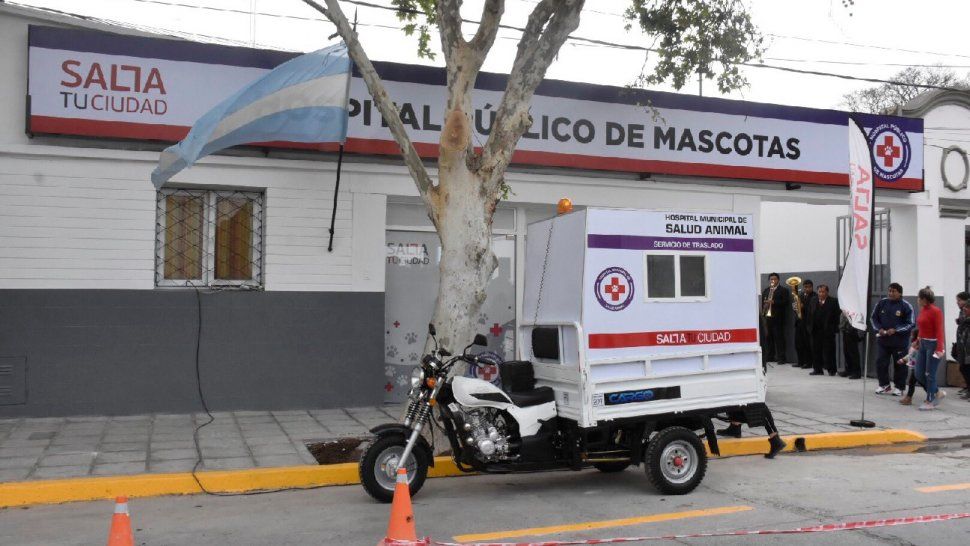 En el primer mes del hospital público de mascotas atendieron a más de 1.100 animales