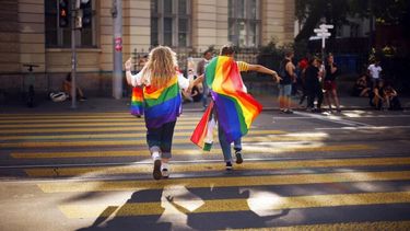Suiza: el matrimonio igualitario se legalizará desde julio de 2022.&nbsp;