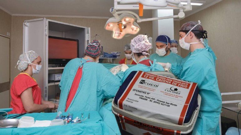 Donación de órganos: Es voluntaria y altruista