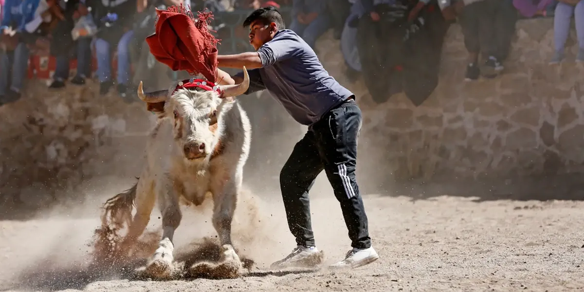 Tras las honras a la Virgen de la Asunción, Casabindo ya vive el tradicional Toreo de la Vincha