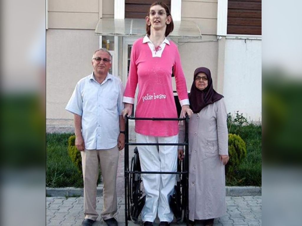 Rumeysa Gelgi