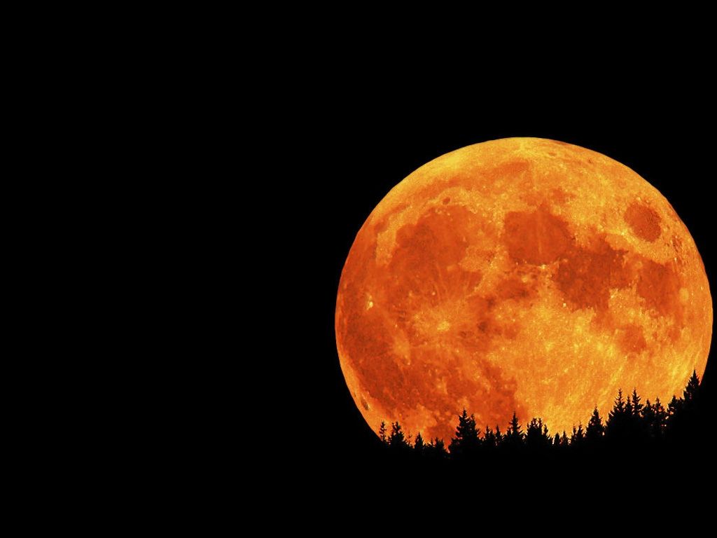 #LunaRoja