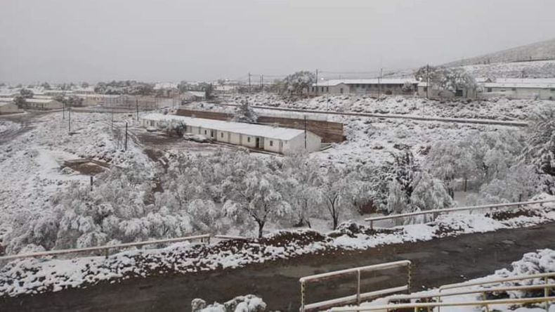 Nieve en pleno diciembre en la Puna jujeña