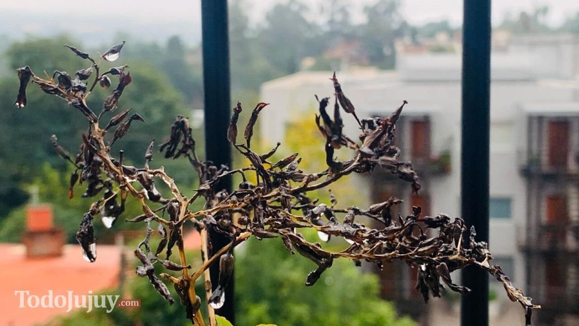 Todo Jujuy | Lluvias en Jujuy