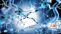 Los investigadores identificaron a personas con un marcador genético de la enfermedad de Parkinson llamado LRRK2.