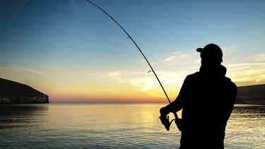 Dos pescadores con botulismo tras consumir escabeche de pejerrey casero.