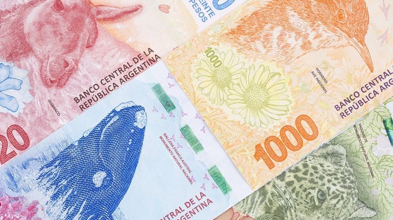 Se puso en marcha una nueva Pensión Vitalicia para&nbsp; todas las familias que hayan perdido a un integrante por coronavirus durante el año 2020.