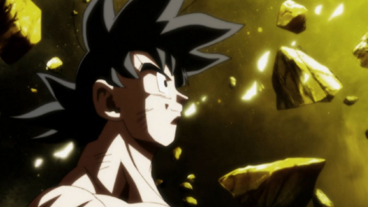 Todo Jujuy | Goku (1).jpg