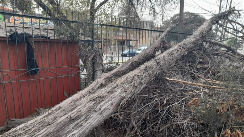 Viento norte: clases suspendidas por la mañana en la escuela Alberdi&nbsp;