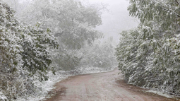 Nieve en Jujuy (Foto: Carlos Sadir)