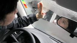 Cómo desempañar los vidrios del auto