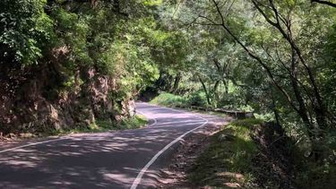 Yungas - Tucumán