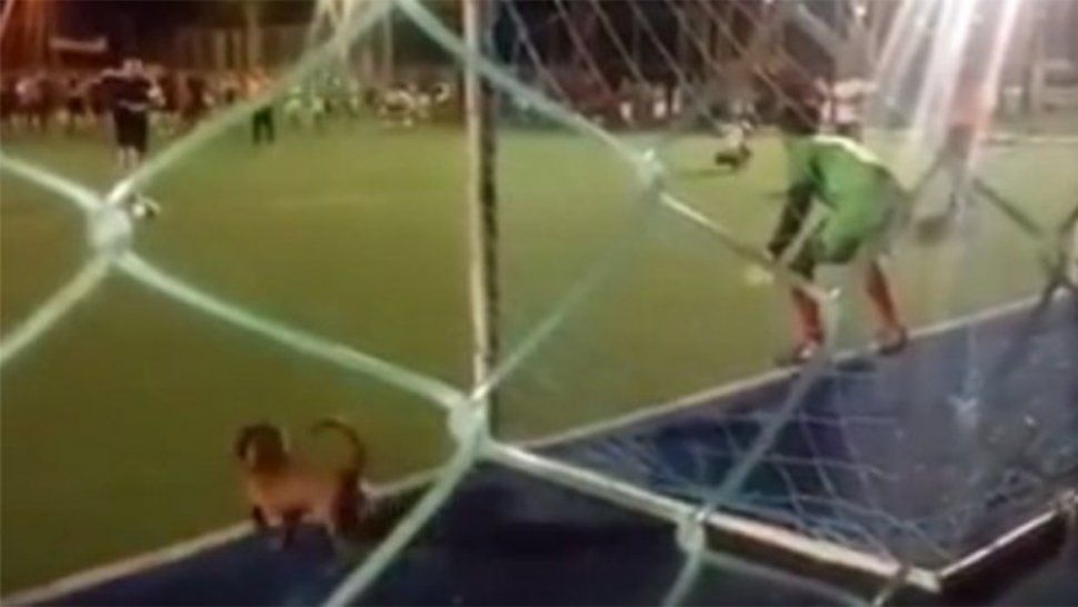 ¡Mirá si pasa en el Boca-River! El insólito penal en un partido amateur