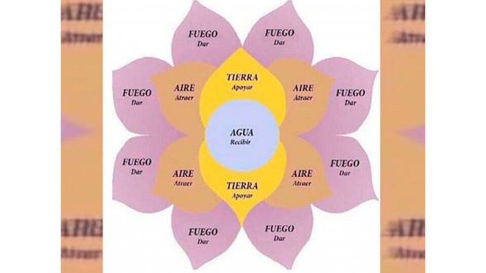 Flor de la abundacia