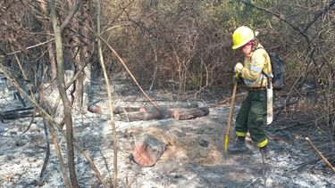 Aumentaroncasi un 60% los incendios forestales en Jujuy (Foto Ministerio de Ambiente)