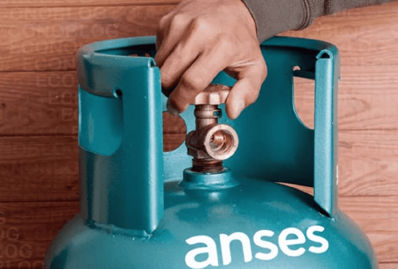 mi anses: paso a paso como solicitar el programa hogar en agosto 2025