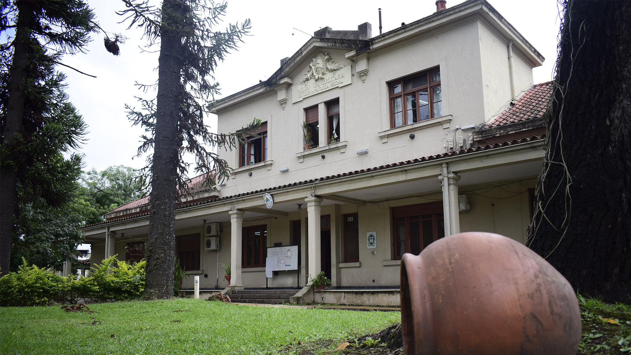 La Universidad Nacional de Jujuy tendrá modalidad virtual y presencial.