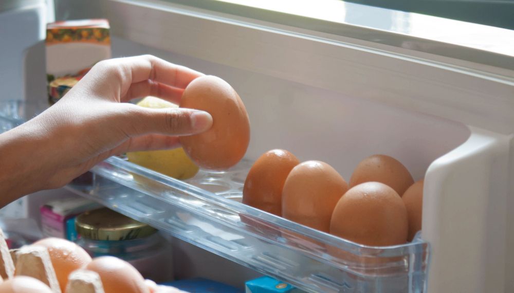 ¿donde se guardan los huevos?