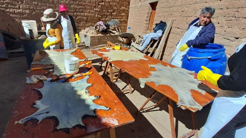 EXAR llevó a cabo el 2do Monitoreo Ambiental Participativo de 2025