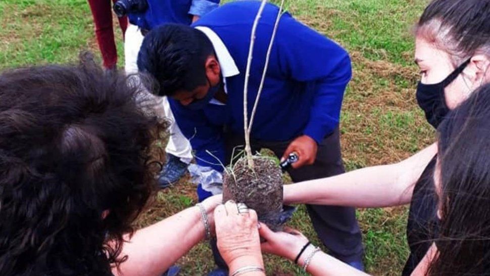 Estudiantes plantaron jacarandá en el Bosquecito de Ciudad Cultural