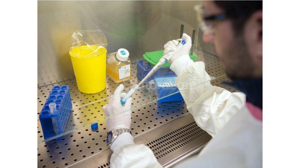 Guinea libre de ébola