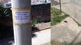 Vecinos solicitan que los dueños de las mascotas levanten la caca que dejan en las veredas.