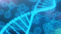 Los tejidos adiposos mantienen la homeostasis metabólica y coordinan el almacenamiento y gasto de energía.