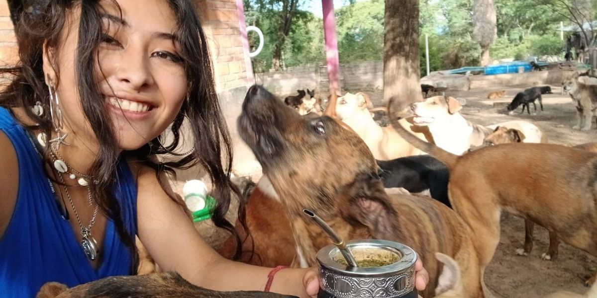 Amor animal sin límites. Amor animal sin límites.