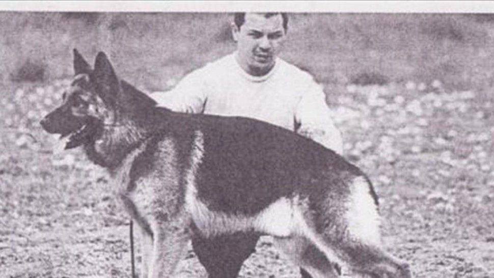 ¿Por qué hoy se celebra el Día Nacional del Perro?Te contamos a que se debe