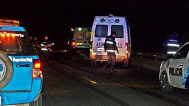 Una ambulancia del SAME atropelló a un burro que estaba suelto en ruta 9 y no pudo esquivar