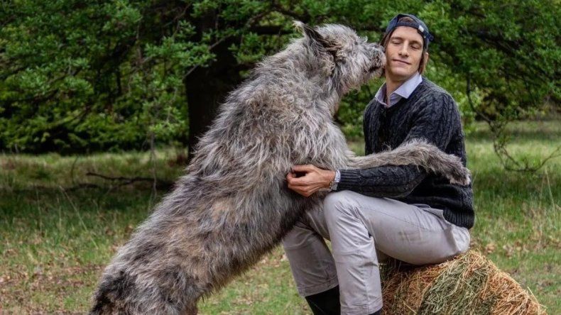 El perro gigante de Iván de Pineda es furor en redes