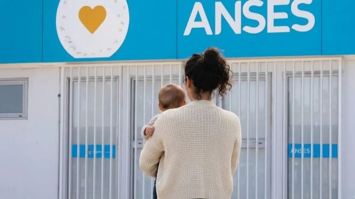 SUAF de ANSES: cuánto se cobrará en agosto de 2026.