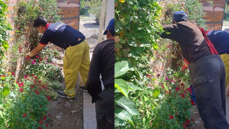 Encontraron una víbora de gran tamaño en un domicilio en Monterrico Encontraron una víbora de gran tamaño en un domicilio en Monterrico