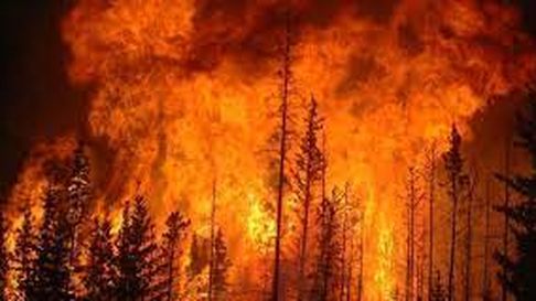 Todo Jujuy | chile incendio.jpeg