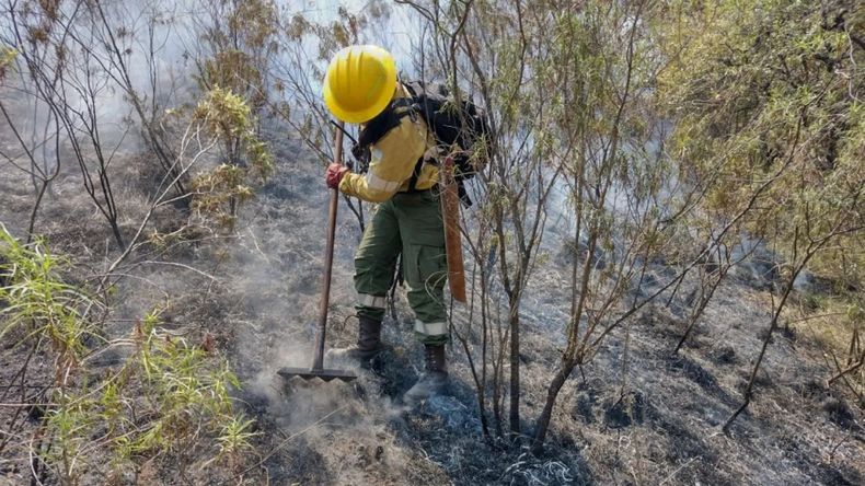 Peligro alto de incendios forestales para una zona de Jujuy