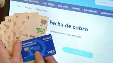 ANSES - SUAF