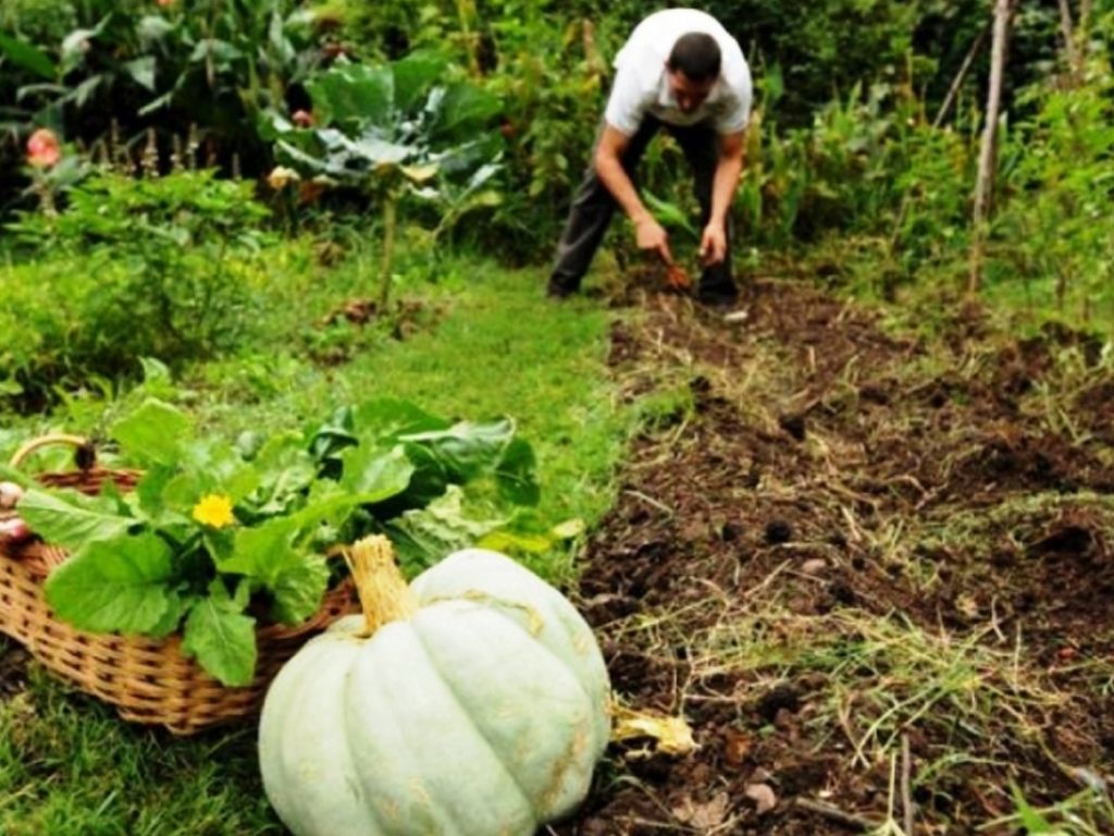 Agricultura Familiar