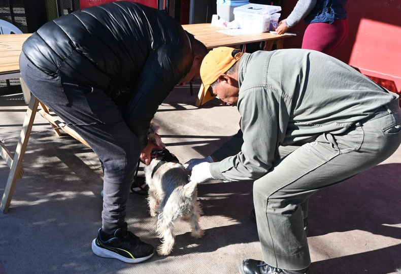 Vacunación antirrábica en San Salvador de Jujuy