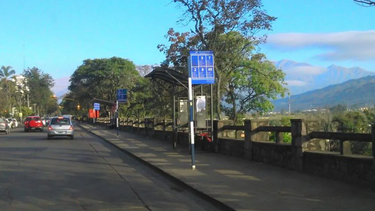 El transporte adhiere al paro.
