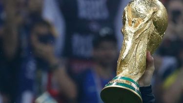Google predijo por medio de la búsqueda del estadio donde se jugará la final del Mundial quienes serán los finalistas de la competición.