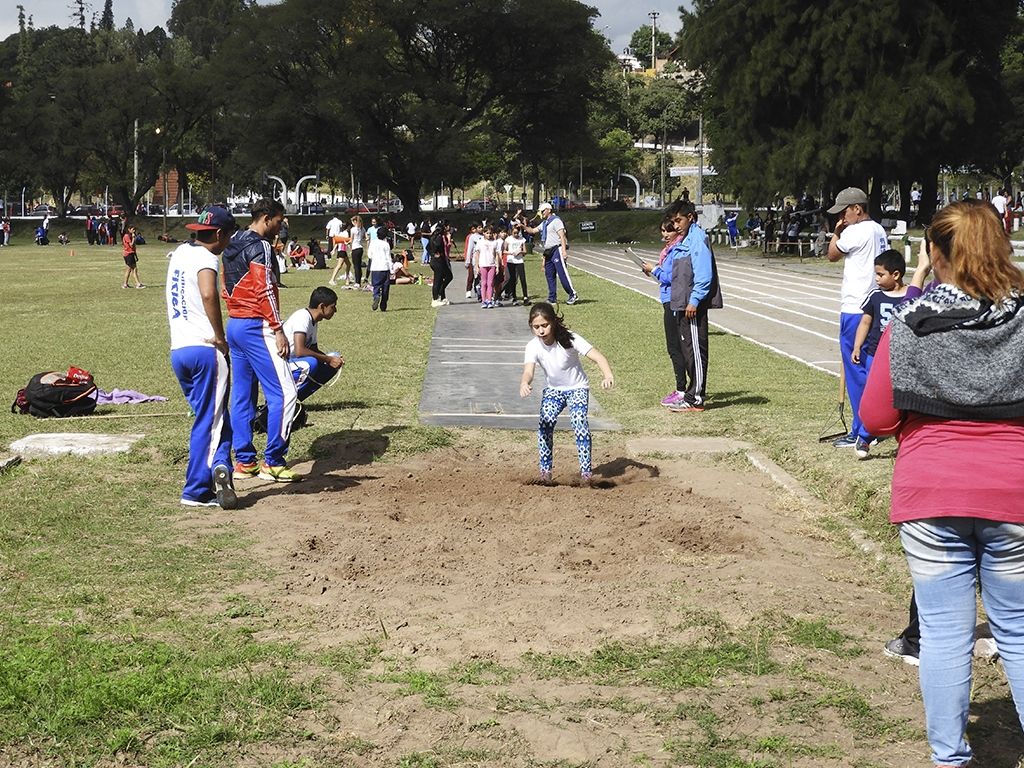 Salto en largo
