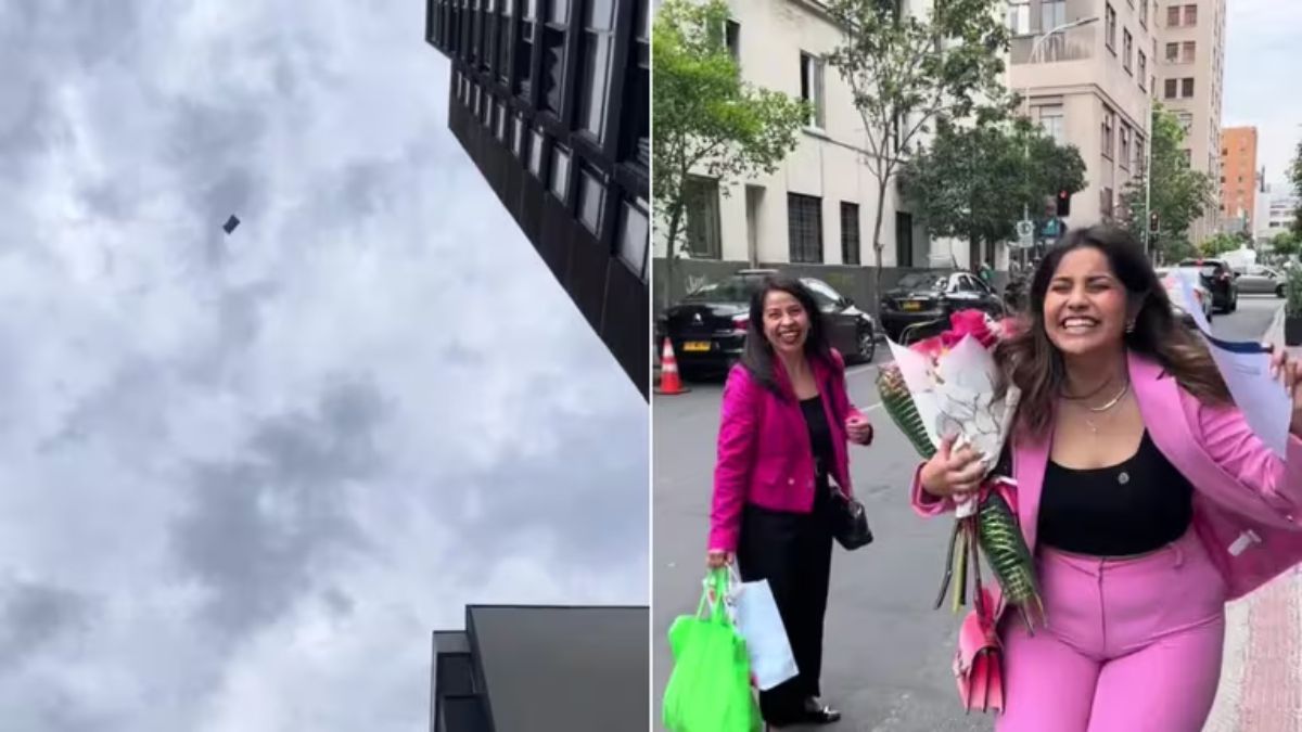 El título profesional fue arrastrado por el viento y comenzó a volar.