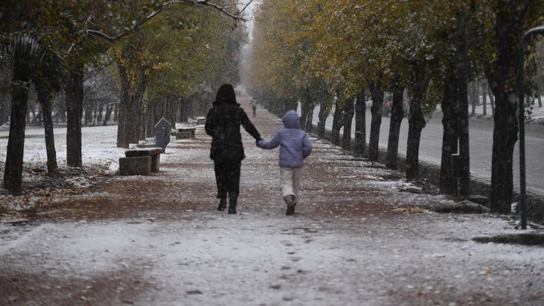Argentina de blanco: así se vivió la nevada en todo el país